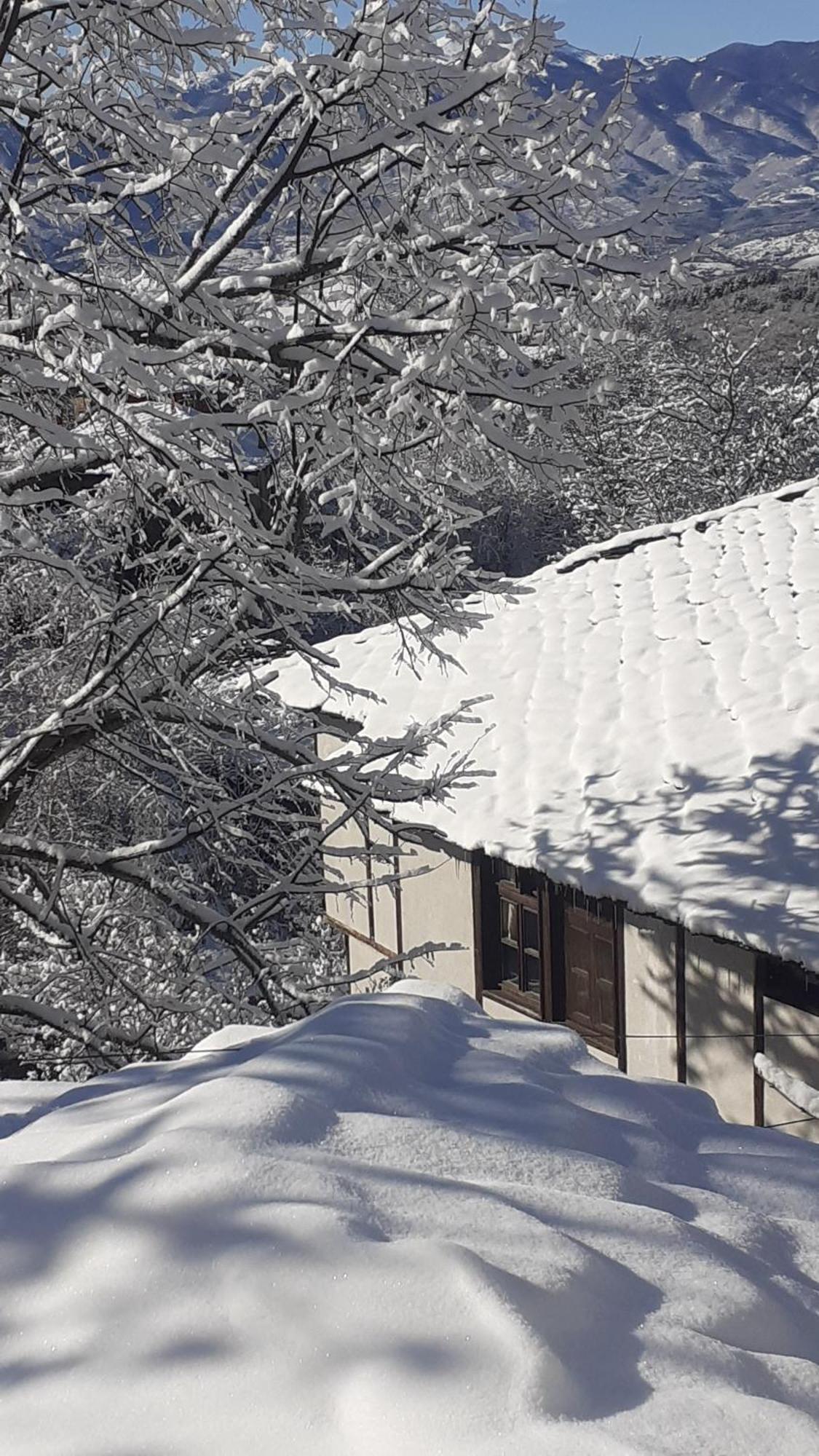 Къща За Гости Близнаците Lesjten Exteriör bild